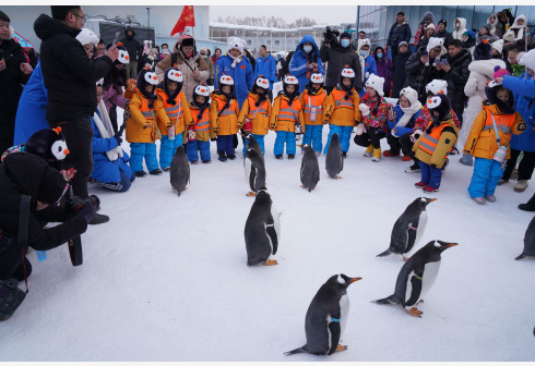 广西“小砂糖橘”揭开研学热背后：7岁儿童登陆南极-公闻财经